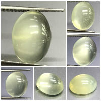 มูนสโตนสีเขียวธรรมชาติทรงโดมหลังเบี้ยสูง Natural Green Moonstone High Dome Cabochon