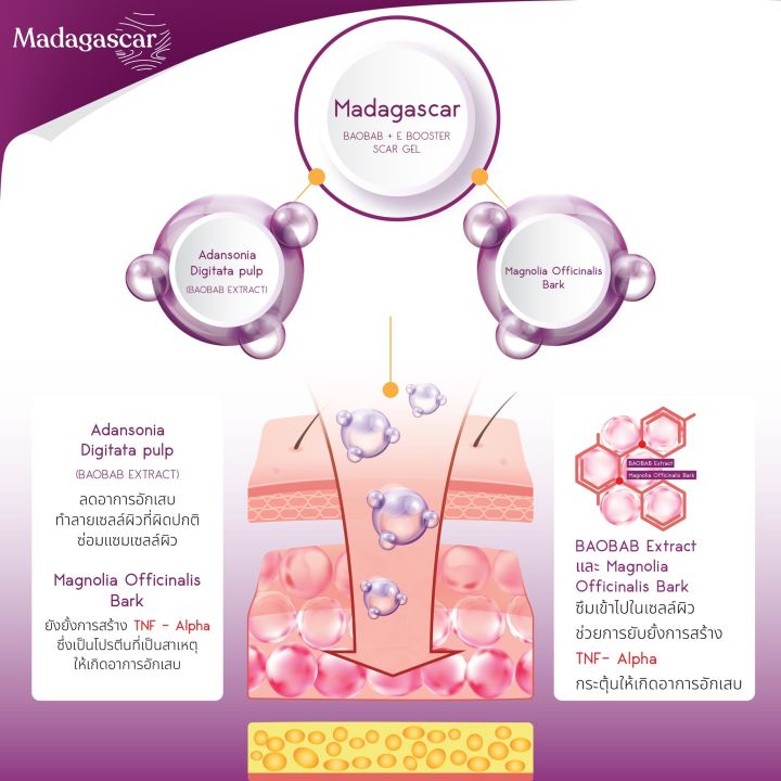 madagascar-baobab-e-booster-scar-gel-มาดากัสการ์-เบาบับ-เจลลดรอยแผลเป็น-รอยแดง-รอยดำ-จากสิว-เจลลดสิว-สิว-ขนาด-9-กรัม