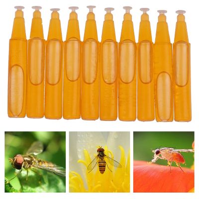 [Hot K] ถุงใหม่เอี่ยมตัวล่อแมลงวันผลไม้ขนาด2มล. เครื่องมือรังเลี้ยงผึ้งเหยื่อล่อของเหลว5/10ชิ้น