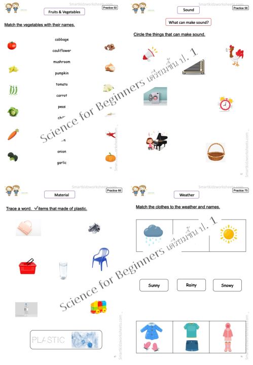 แบบฝึกหัดวิชา-science-สำหรับ-อนุบาล-เตรียมขึ้น-ป-1