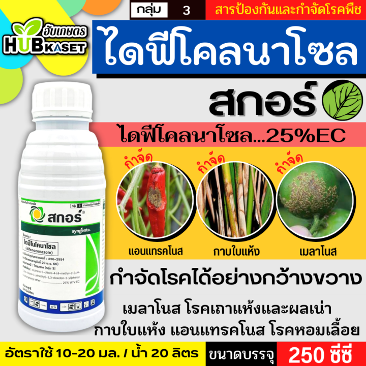 สกอร์-250ซีซี-ไดฟีโนโคลนาโซล-ป้องกันกำจัดโรคพืชราสนิมขาว