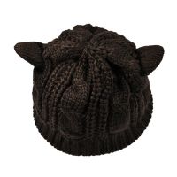 Cat Ears Shaped Ladies Girls Crochet Knit Ski Hat Warm Beanie Wool Hat Winter Hat Knitted Hat