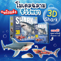 โมเดลฉลามชีววิทยา 3D