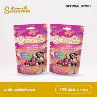 เนเจอร์เซ็นเซชั่น Mixed Berry (ผลไม้แห้งผสม) วินเทอร์ฯ 170 กรัม. 2 ชิ้น