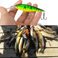 hot！【DT】 SEALURER Fishing lure 1pcs Pike Bait 11cm 10.5g Jerkbait Deep Swim Wobblers Crankbait