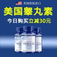 [Strong Testicle Replenishment] U.S. Imported Tribulus Terrestris Muscle Enhancer 120 Capsules Long-lasting Testosterone Replenishment