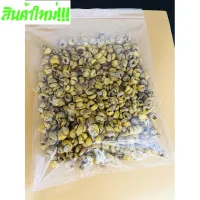 [สินค้าพร้อมจัดส่ง]⭐⭐P17สมุนไพรจีนชั้นสูง สือหู 石斛 ขนาด100g พร้อมส่ง เกรดคุณภาพ ช่วยบำรุงอวัยวะทั้ง5 หัวใจ-ม้าม-ตับ-ปอด-ไตได้ดี สุดยอดสมุนไพรจีน[สินค้าใหม่]จัดส่งฟรีมีบริการเก็บเงินปลายทาง⭐⭐