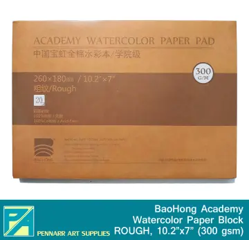 Shop Baohong Academy Watercolor Cold Press with great discounts and prices  online - Dec 2023
