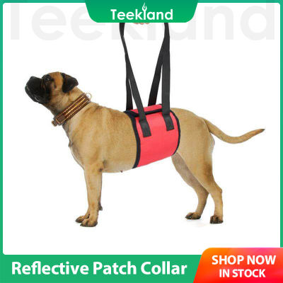 Teekland เข็มขัดเสริมสำหรับสัตว์เลี้ยงผู้สูงอายุแบบพกพา,สายรัดเพื่อการฟื้นฟูสมรรถภาพสัตว์เลี้ยงช่วยยกสุนัข