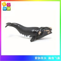 ? Genuine and exquisite model PAPO2023 Right Whale Simulation Ocean Animal Model Childrens Cognitive Toys 56057