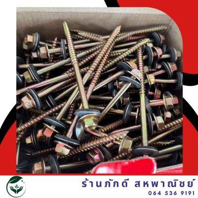 PD-000134ลอนคู่ ติดแหวน แปไม้ 10-12x90 (3.1/2”)