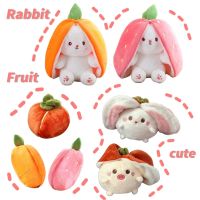 【CC】 Kawaii Fruit Soft Stuffed Strawberry Carrot Plushie Girlfriend Birhthday Gifts