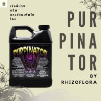 [พร้อมส่ง]⭐⭐⭐⭐Purpinator by Rhizoflora เร่งสีม่วง กลิ่น และช่วยเพิ่มไตโคมจัดส่งฟรีมีเก็บปลายทาง