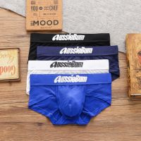 Aussiebum กางเกงในชายผ้าฝ้ายอย่างดี ทรง BRIEF