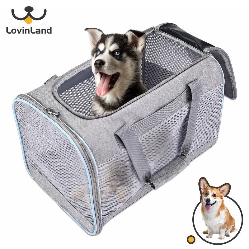 Storage Clean and Escape Proof Carry Small Dogs petisfam Top Load Pet Carrier for Large and Medium Cats Easy to get cat in 