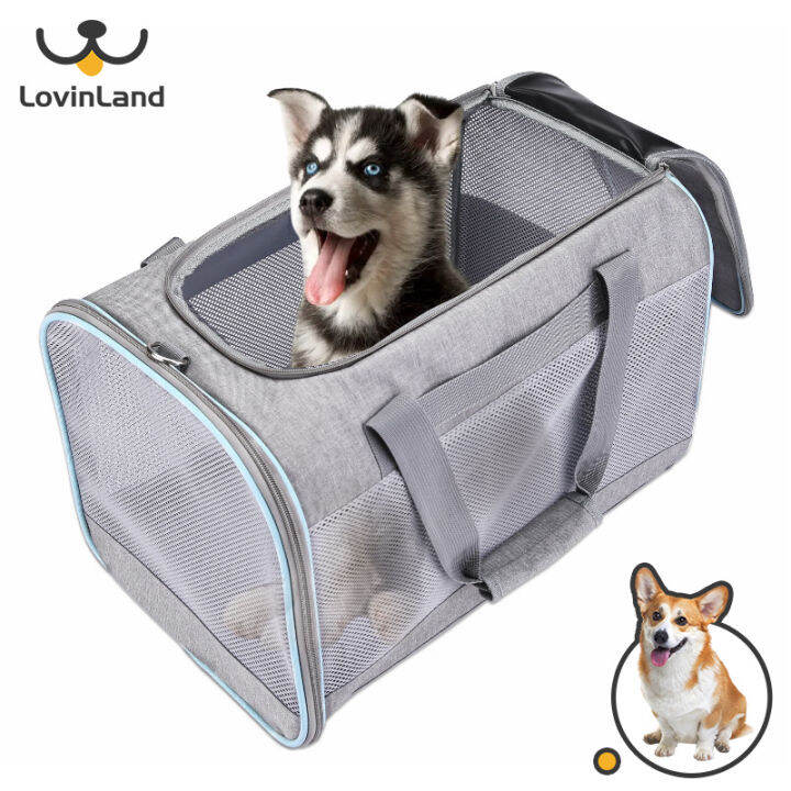 [Lovinland] Top Load Pet Carrier for Large and Medium Cats Small Dogs Easy to get cat in Carry