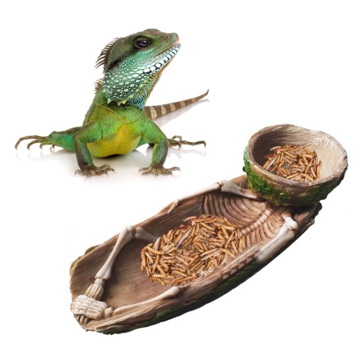 skeleton-reptile-food-bowl-amphibian-cage-rock-decor-water-injection-humidification-function-bearded-dragon-tank-accessories