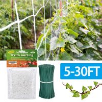 【CW】 Support Netting Vine Climbing Net Heavy-Duty Polyester Hydroponics Garden Mesh Accessories