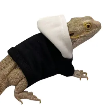 Bearded Dragon Lizards Reptile Hat+Scarf Accessories Toys Christmas Santa  Outfit