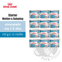 Royal Canin Starter Mother&amp;Babydog Mousse สำหรับแม่สุนัขตั้งท้อง ให้นม และลูกสุนัข หย่านม-2เดือน ขนาด195กรัม x 12กระป๋อง