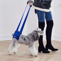 Pet Dog Leg Support Rear Lifting Brace Harness For Old Dogs Aid Assist Tool Rehab Harness For Dogs With Weak Rear Legs