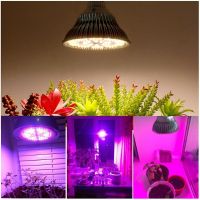 หลอดไฟปลูกต้นไม้ LED grow light E27 PAR38 300W แถมสายไฟยาว 5เมตร