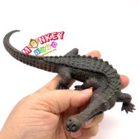 Monkey Toys - โมเดลสัตว์ Gavial ตะโขง เทาเข้ม ขนาด 17.80 CM (จากหาดใหญ่)