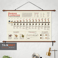 ภาพแขวนผนังวิวัฒนาการของมนุษย์ Human Evolution