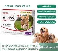 [ถูกสุด] Antinol ช่วยบำรุงข้อ กระดูก ขน ผิวหนัง และไต (1 กล่อง 60 caps) สำหรับสัตว์เลี้ยง