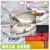 Yinglian Tibhar ลายกีฬาปิงปองทีมชาติ EL-P-S-D FX MX แร็กเก็ตไม้ยางพารายางป้องกันกาว