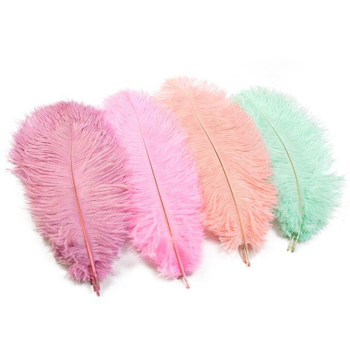 10pcs-colored-feathers-15-60cm-for-crafts-wedding-table-fluffy-plumas-accessories-bulk