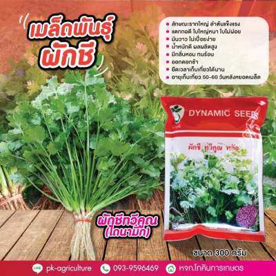 เมล็ดพันธุ์ผักชี ทวีคูณ (ไดนามิก) ขนาด 300 กรัม