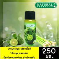 แชมพูสมุนไพร แชมพูแก้ผมร่วง แชมพูมะกรูดผสมตะไคร้  Natural Essences ให้ผมนุ่ม ลดผมร่วง ป้องกันผมแตกปลาย สำหรับผมมัน