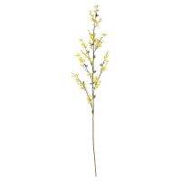 55in ค่ะ Forsythia ดอกไม้ประดิษฐ์ (ชุด3ชิ้น) สีเหลือง Decroate Home