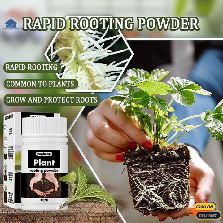 rooting powder for plants rooting powder rapid growth fertilizer for