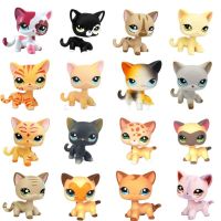 ▧ LPS CAT Littlest pet shop bobble head toys standing cat black orange animal dog dachshund cocker spaniel collie Great Dane toys