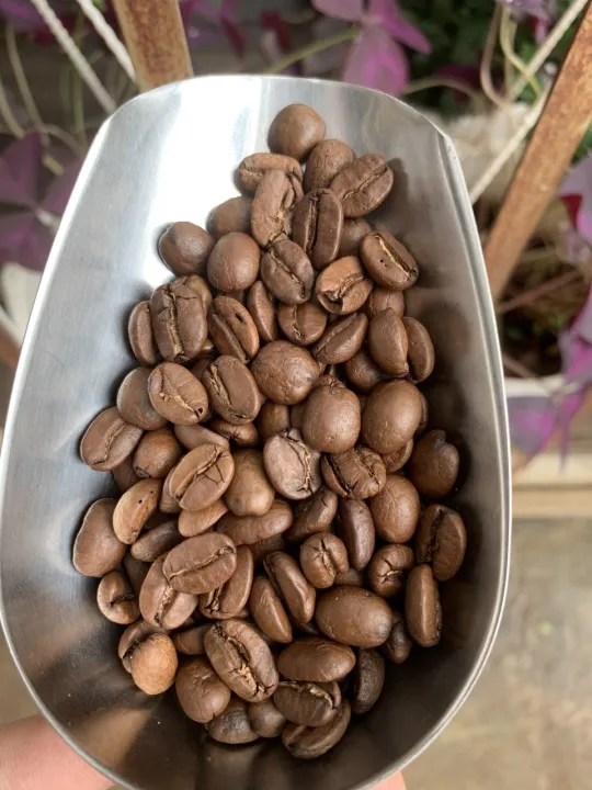 Cafe Robusta nguyên chất Ban Mê Thuột 500g – No Brand ,SKU : 1508893017_VNAMZ-7876069567 >>>🇻🇳 Top1Vietnam 🛒>>> lazada.vn 🇻🇳🇻🇳🇻🇳🛒🛍🛒