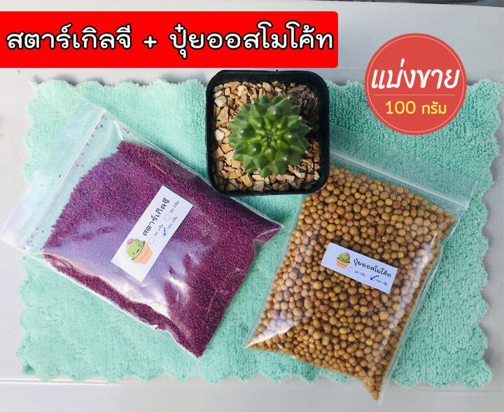 สตาร์เกิล-จี-starkle-g-ออสโมโค้ท-osmocote-100-กรัม