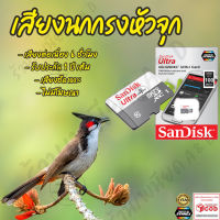 เสียงต่อ นกกรงหัวจุก ยาว6ชั่วโมง ไม่มีโฆษณา เมมโมรี่เล็ก(Micro SD) มีเก็บเงินปลายทาง ส่งด่วนKerry Express