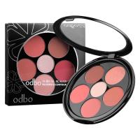 Odbo Floral Beauty Blusher Contour โอดีบีโอ ฟลอรอลบิวตี้ บลัชเชอร์ คอนทัวร์ บลัชออนแต่งหน้า OD161