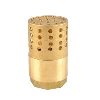 【YF】 3/4  1  1-1/4  1-1/2  BSP Female Thread Brass Check Valve Strainer Filter Bottom Foot For Water Pump