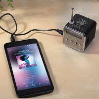 NL TF USB Mini Stereo Speaker Music Player FM Radio PC MP3 4