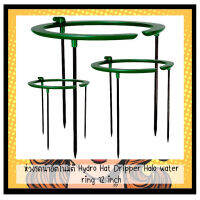 ห่วงรดน้ำอัตโนมัติ Hydro Hat Dripper Halo water ring 12 inch Drip Ring Watering1/2" Inlet for Garden Hydroponics