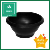 กระถางชวนชม PNP 12 นิ้ว สีดำDESERT ROSE POT PNP 12IN BLACK **โปรโมชั่นสุดคุ้ม โค้งสุดท้าย**