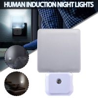 Plug-in Night Lights Saving LED Sensor Smart Dusk To Dawn Sensor Lamps Nightlights For Bedrooms Toilets Stairs Corridors