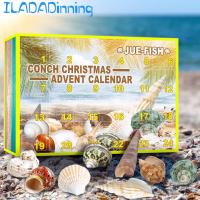 ILADA Dinning Christmas Advent Calendar With 24 Conch Toys Christmas Countdown Calendar Gift Box For Kids