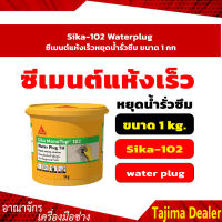 Sika-102 Waterplug ซีเมนต์แห้งเร็วหยุดน้ำรั่วซึม ขนาด 1 กก.