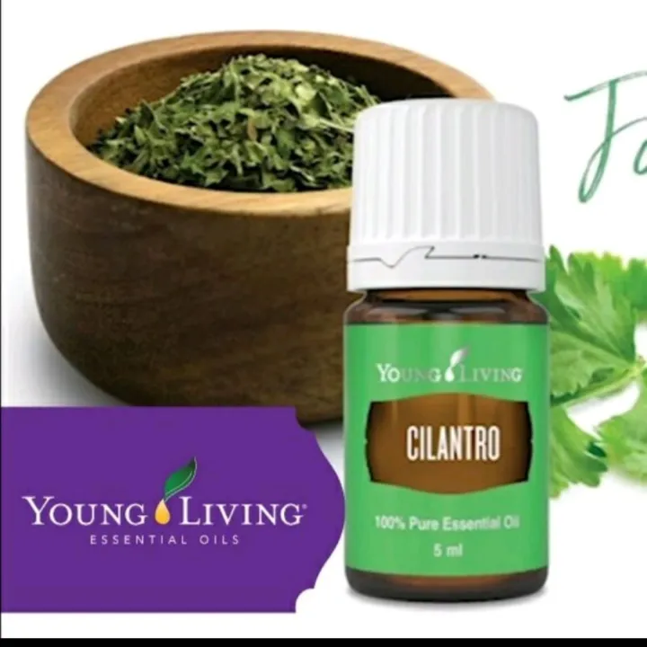 Cilantro essential oil 5ml Lazada Indonesia