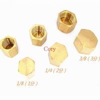 1PC 1/8 1/4 3/8 1/2 3/4 BSP Hexagonal Female Thread Brass Pipe Cap Hex Head End Cap Plug Fitting Coupler Connector Adapter