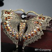 ∋  Zlxgirl Fashion Insect Brooch Pins Wedding Accessories Broches Bijuteriras Scarf